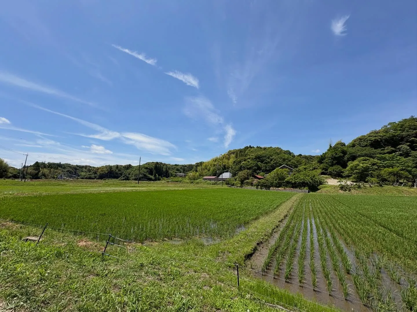 今日はお見積で長南町に来ております。